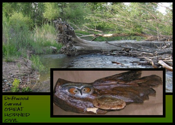 Wildlife Intentions: Great horned owl